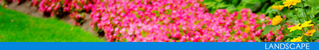 Landscape Committee