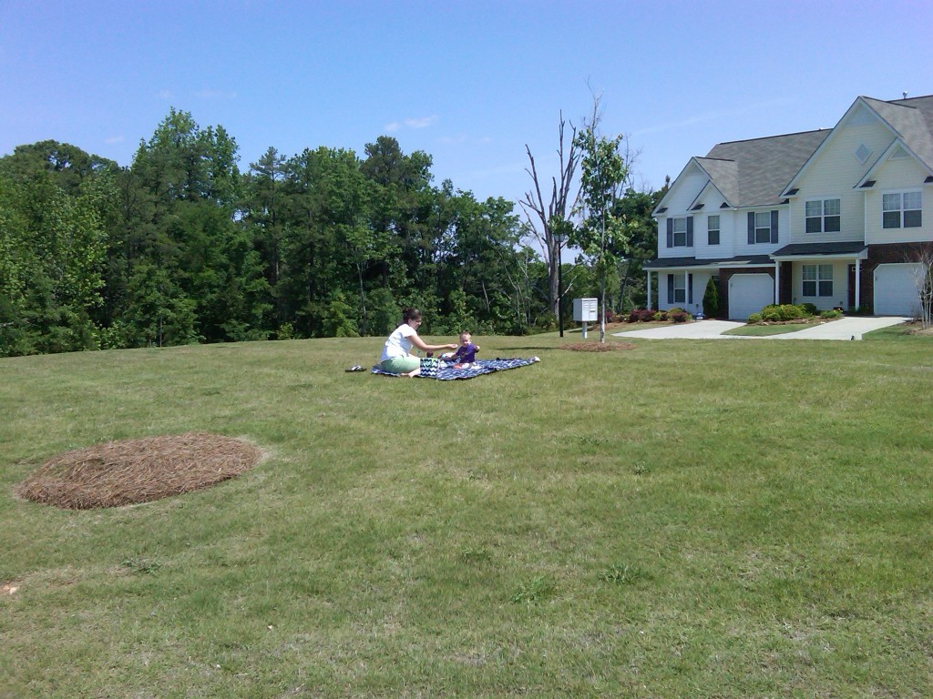Picnic on the Green